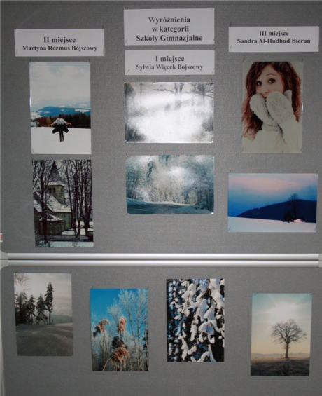Pokonkursowa wystawa „Zima w obiektywie 2012”