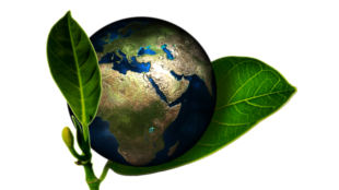 Turniej Wiedzy Ekologicznej